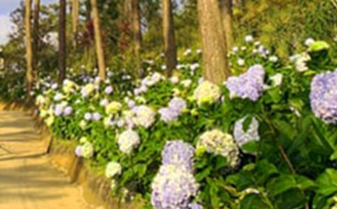 �������@���ģ����x4ƪ��