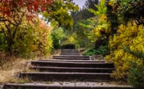 �а����g(sh��)�����Ļ��@�̰�