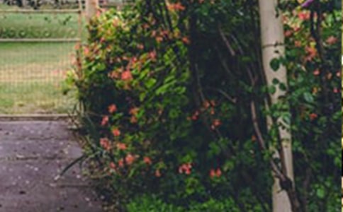 [ͨ��]�������@����