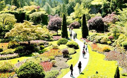 我家的花園作文