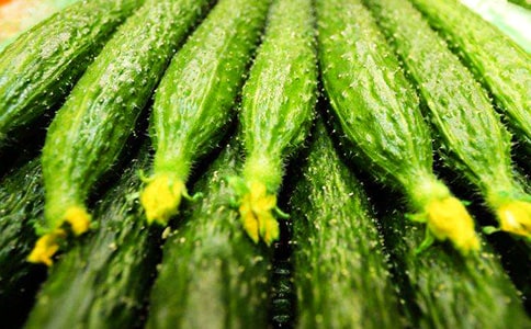 黃瓜的觀察日記