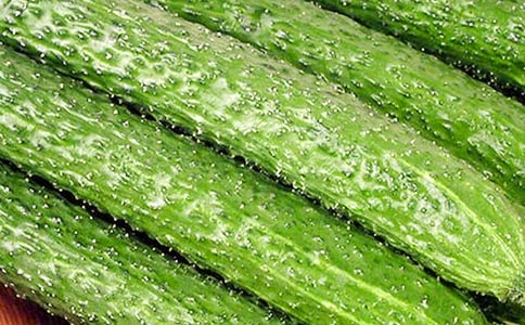 �z�Ϻ��S��-ͯԒ����800��