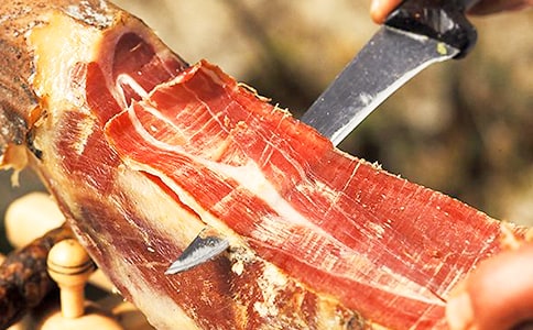 ���óԵĻ���ʳ�V������Ģ�������