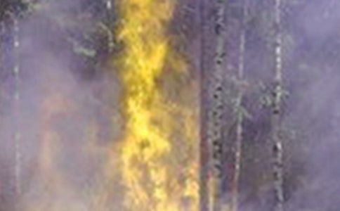 應急火災演練心得體會