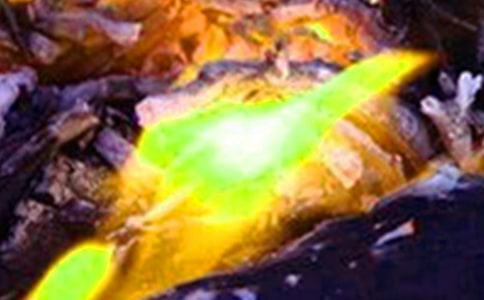 火災(zāi)事故心得體會(精選31篇)