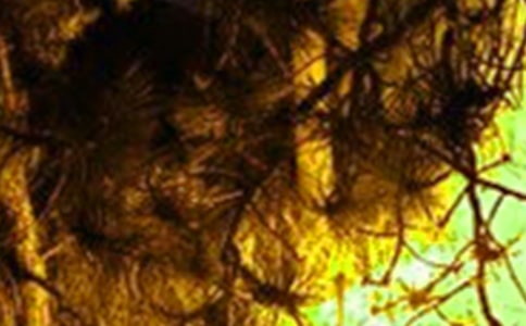 安全生產(chǎn)防火災心得