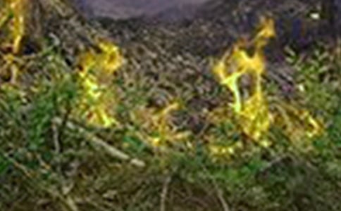 火災(zāi)防范心得體會(huì)