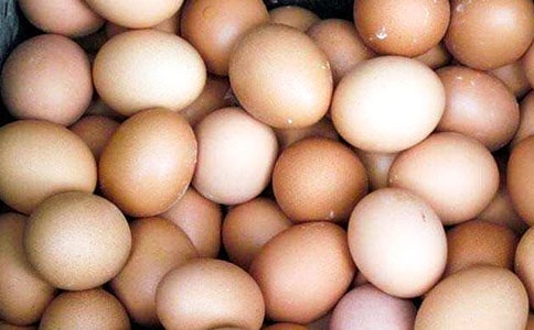 ���ģ����u��