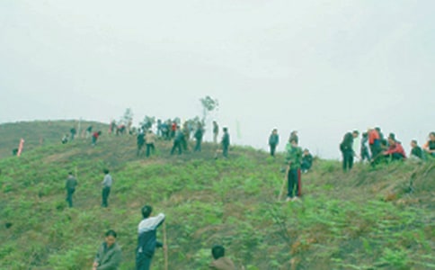 ��������600��