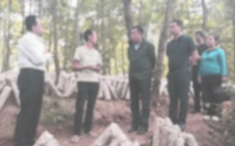 紀(jì)檢部部長工作計(jì)劃