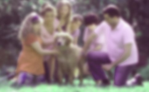 家庭教育發(fā)展現(xiàn)況與途徑論文