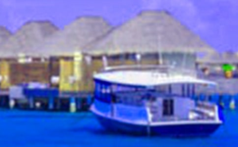 【必備】假期的生活作文四篇