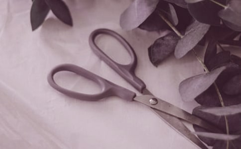 剪刀峽導(dǎo)游詞的范文