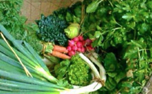 小學(xué)二年級心理健康教學(xué)計劃范文