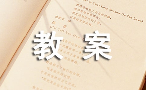 實(shí)驗(yàn):用電壓表和電流表測(cè)電阻教案二