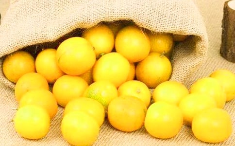 �茑��۵����ģ����x31ƪ��