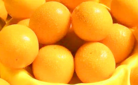 我愛金桔的作文600字