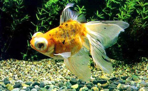 (�])�P�ڽ��~������