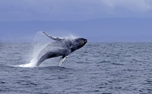 �L�~����