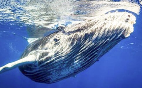 �L�~������600��