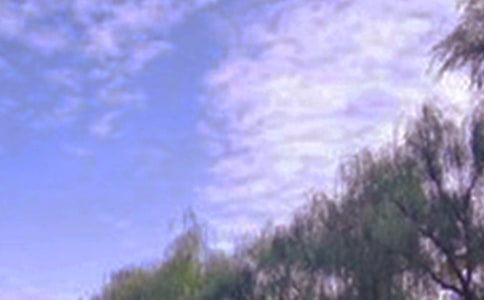 �茑(xi��)��ɫ������