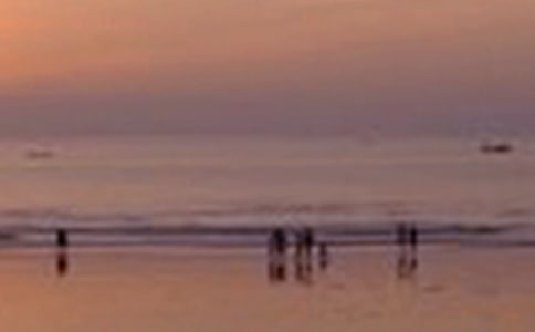 [��]�茑��ɫ������3ƪ