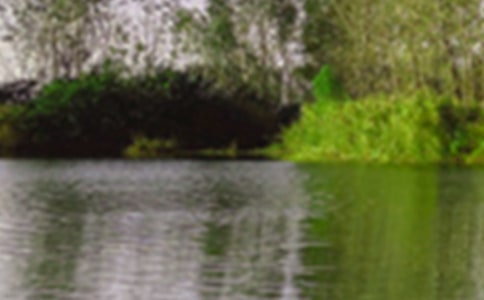 С�W(xu��)����ɫ������(��4ƪ)