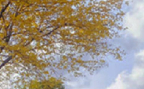 [��]��(sh��)�õČ���ɫ������