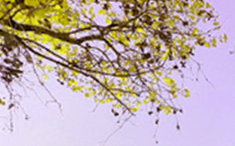 描寫月亮下景色的句子(精選370句)