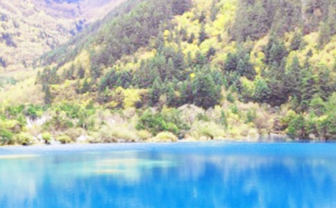 關(guān)于九寨溝導游詞