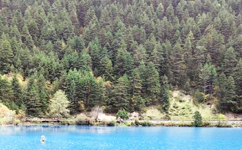 九寨溝導(dǎo)游詞優(yōu)秀