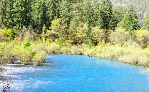 [�؂�]��կ�ό�(d��o)���~