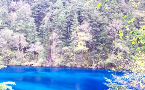 ���¾�կ�ό�(d��o)���~