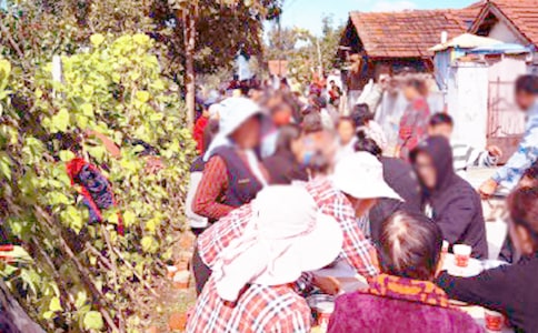 ���¾�ϯ���o