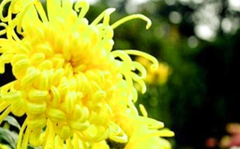 �P(gu��n)�ھջ������ı؂䣨15ƪ��