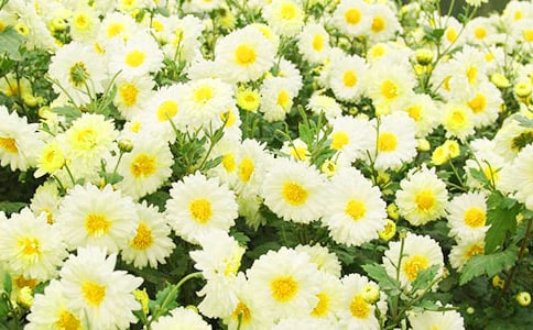 ���ջ����ޡ��x���