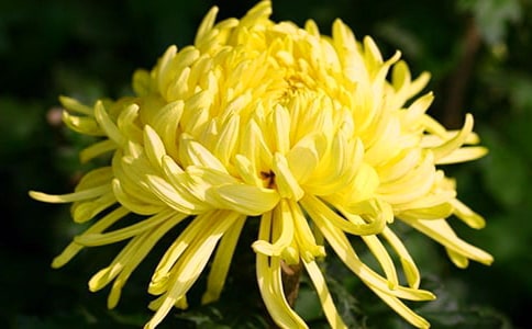 �ջ��^����ӛ400�֣����x12ƪ��