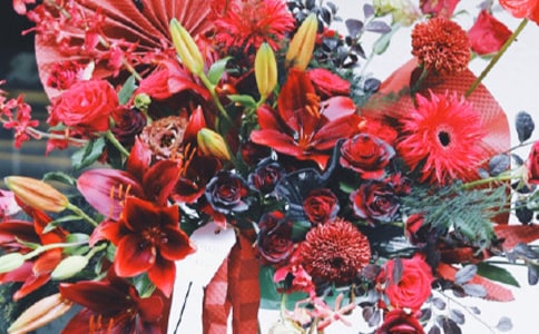 朋友店鋪新開張祝福語(yǔ)