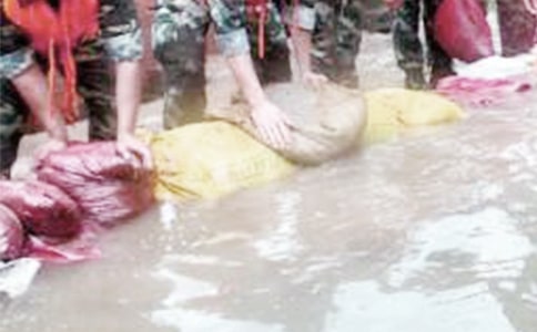 抗洪救災的工作總結