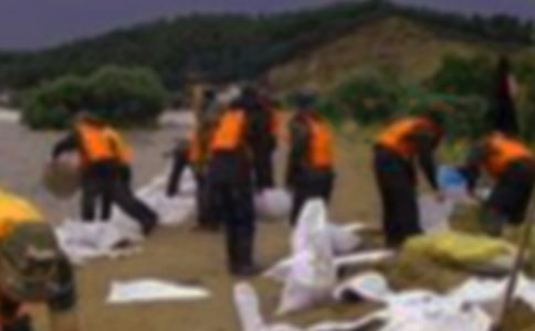 抗洪英雄頌作文