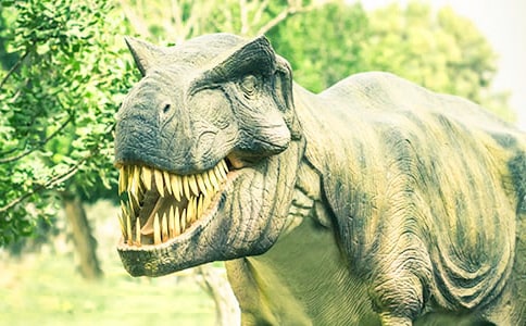 大班科學(xué)神秘的恐龍教案