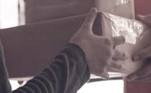 蝸牛的快遞公司600字作文