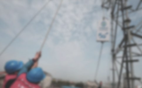 ������׌������������ -��������