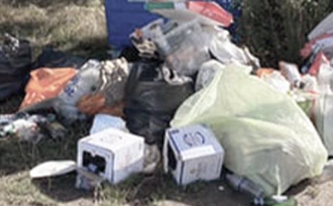 ���������������ƶ�