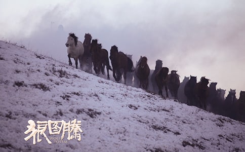 狼圖騰閱讀心得