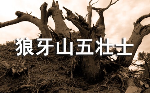 狼牙山五壯士?jī)?yōu)秀教案