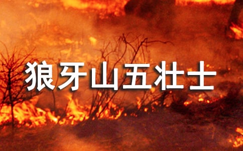 �x������ɽ���ʿ���иС��]��