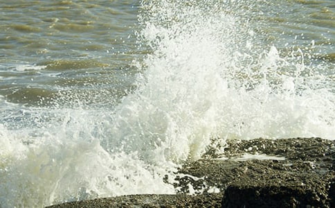 生活中的浪花作文(精選55篇)