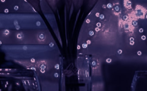 《浪漫的旅游》散文隨筆