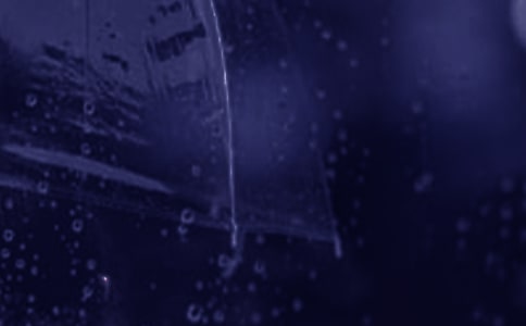 �����ļ��Z(15ƪ)